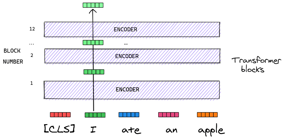 Transformer Layers in BERT