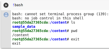 Exiting interactive shell in colab
