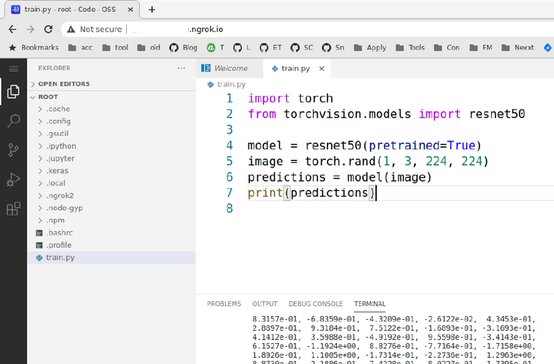 Example of a running instance of VSCode server