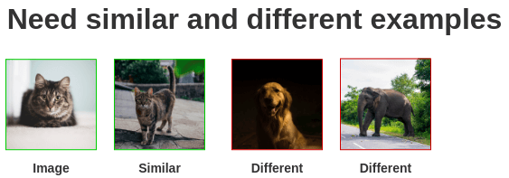 Pair of similar and dissimilar images