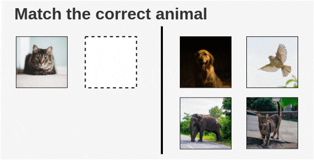 Child Matching Animal Pairs