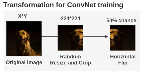 Sequence of Image Augmentations Used before passing to model