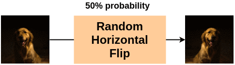 Example of Random Horizontal Flip