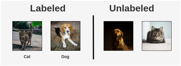 Example of Labeled vs Unlabeled Images