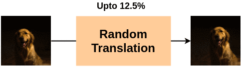 Example of Random Vertical and Horizontal Translation