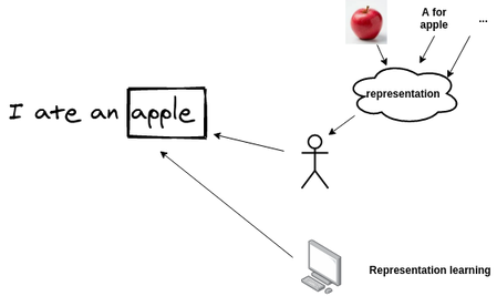 Representations in Humans vs Machines
