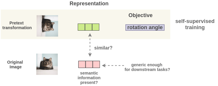 Idea of PIRL Framework