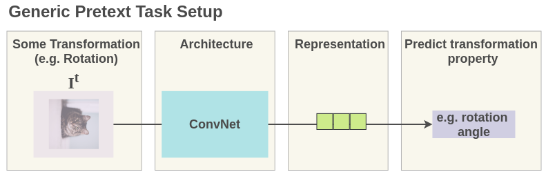 Standard Setup Used in Pretext tasks