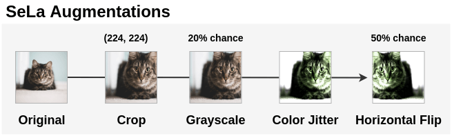 Image Augmentations applied in Self-Labelling