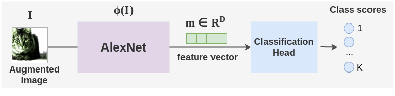 Example of model predictions from AlexNet