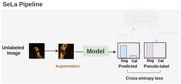 End to End Pipeline for Self Labelling