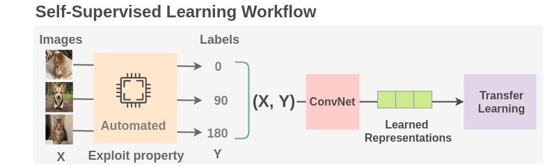 Thumbnail showing the high-level idea of workflow for self-supervised learning