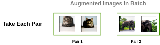 Example of a single batch in SimCLR