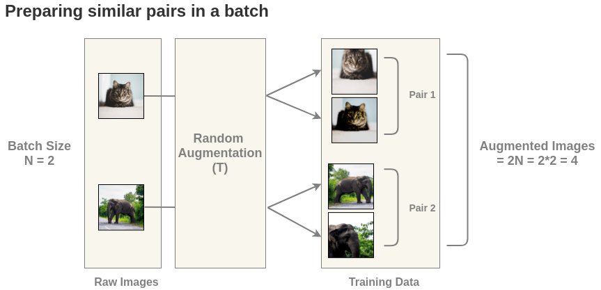 Augmenting images in a batch for SimCLR