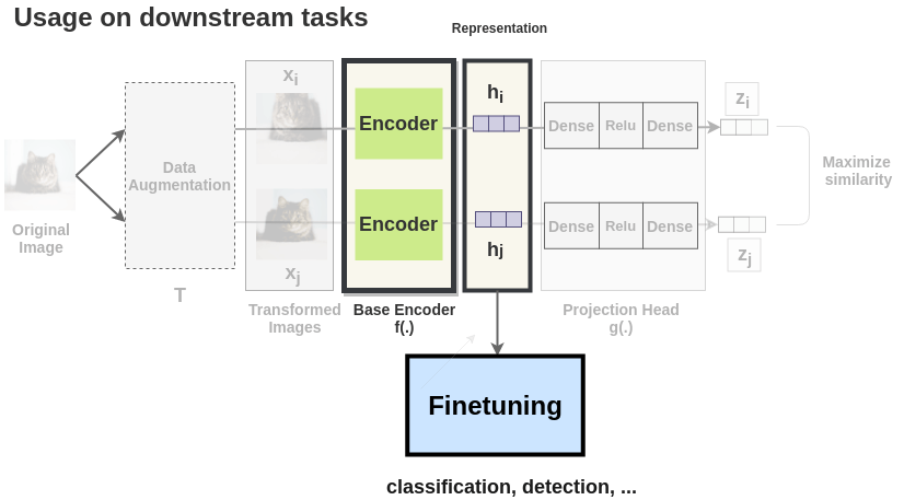 Using SimCLR for downstream tasks