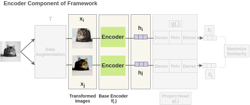 Encoder part of SimCLR