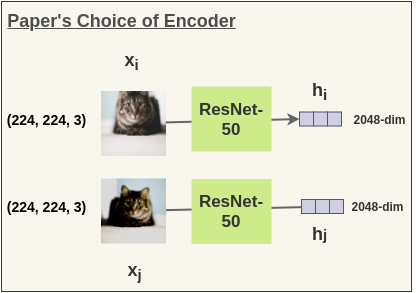 ResNet-50 as encoder in SimCLR