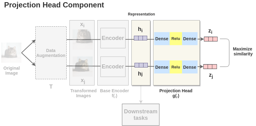 Projection Head Component of SimCLR