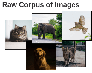 Corpus of millions of images