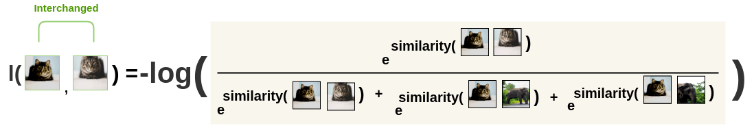 Calculation of loss for exchanged pairs of images