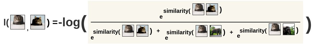 Calculation of Loss from softmax