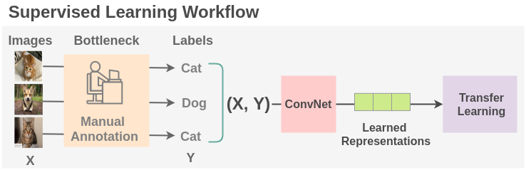 Manual Annotation in Supervised Learning