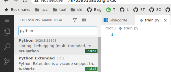 Installing extensions in VSCode